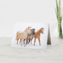 Zoek naar kwart paarden briefkaarten Sneeuw