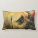 Zoek naar puggle kussens Schattig