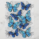 Zoek naar vlinders flyers Blauwe vlinder
