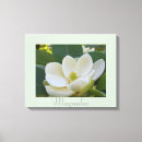 Zoek naar witte bloemen fotografie Elk persoon