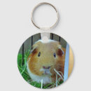 Zoek naar cavia sleutelhangers Cavy
