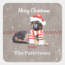 Zoek naar pluizig stickers Voor iedereen