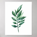 Zoek naar botanisch kunst Groen