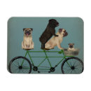 Zoek naar grappige honden magneten Steampunk