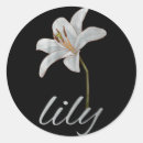 Zoek naar witte bloemen stickers Verjaardag