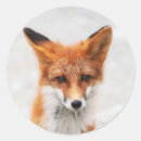 Zoek naar schattige ogen stickers Oranje