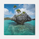 Zoek naar blank magneten Blauw