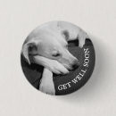 Zoek naar hond foto buttons Fotografie