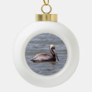 Zoek naar pelikaan ornamenten Dier