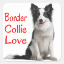 Zoek naar zwart witte honden stickers Border collie