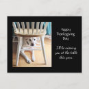 Zoek naar witte hond briefkaarten Grappig