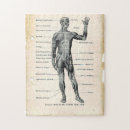 Zoek naar spieren puzzels Anatomie