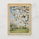 Zoek naar appel bomen briefkaarten Bloemen