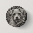 Zoek naar hond foto buttons Portret