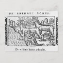 Zoek naar render briefkaarten Vrouw