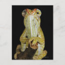 Zoek naar chameleon briefkaarten Schalen