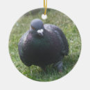 Zoek naar duif ornamenten Dieren