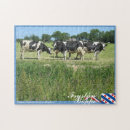 Zoek naar holstein puzzels Koeien