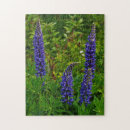 Zoek naar flora puzzels Blauw
