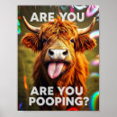 Zoek naar grappige koe posters Grappig dier