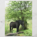 Zoek naar paarden flyers Elk persoon