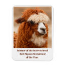 Zoek naar alpaca magneten Schattig