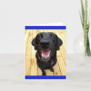 Zoek naar labrador puppy kaarten Puppies