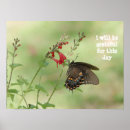 Zoek naar monarch vlinders posters Elk persoon