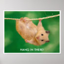 Zoek naar grappige hamsters posters Dieren