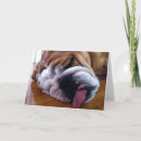 Zoek naar engelse buldog kaarten Hond