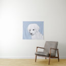 Zoek naar kuvasz posters Hongarije