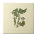 Zoek naar illustrations tegels Bloem