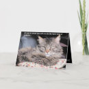 Zoek naar chagrijnig kaarten Kat