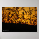 Zoek naar landelijk posters Zonsondergang