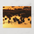 Zoek naar zonsopgang briefkaarten Landschappen