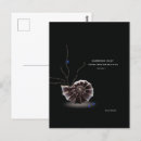 Zoek naar eigen ontwerp briefkaarten Klant