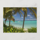 Zoek naar franse briefkaarten Palmboom