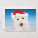 Zoek naar kerstkaart westie kaarten Kerstmis