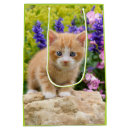 Zoek naar grappige katten cadeautasjes Voor kinderen