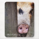 Zoek naar varkens muismatten Dieren