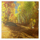 Zoek naar sporen tegels Bossen