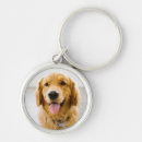 Zoek naar golden retriever accessoires Gouden rekwieg