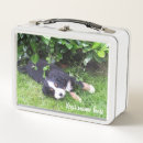 Zoek naar honden lunchboxen Vintage