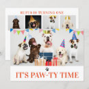 Zoek naar dog fotokaarten Voor huisdieren