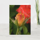 Zoek naar nam knop toe kaarten Rood