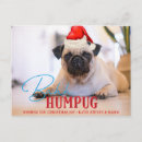 Zoek naar grappige pug kaarten Voor hem/haar