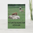 Zoek naar schapen liefde kaarten Fotografie