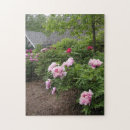Zoek naar peony puzzels Pinda's