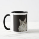 Zoek naar maine coon cat mokken Natuur