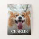 Zoek naar dieren puzzels Elk persoon